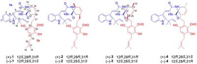 Three Pairs of New Spirocyclic Alkaloid Enantiomers From the Marine-Derived Fungus Eurotium sp. SCSIO F452